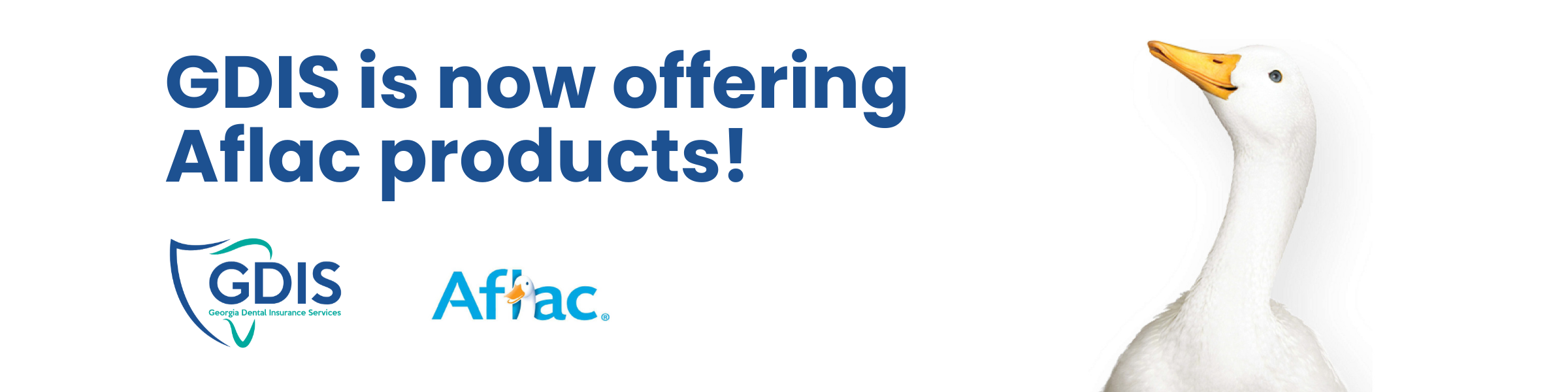 Aflac Supplemental Policies